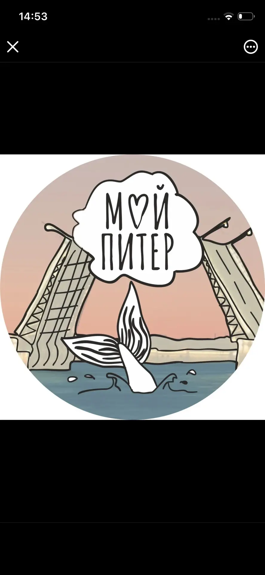 Мой Питер — канал в мессенджере MAX