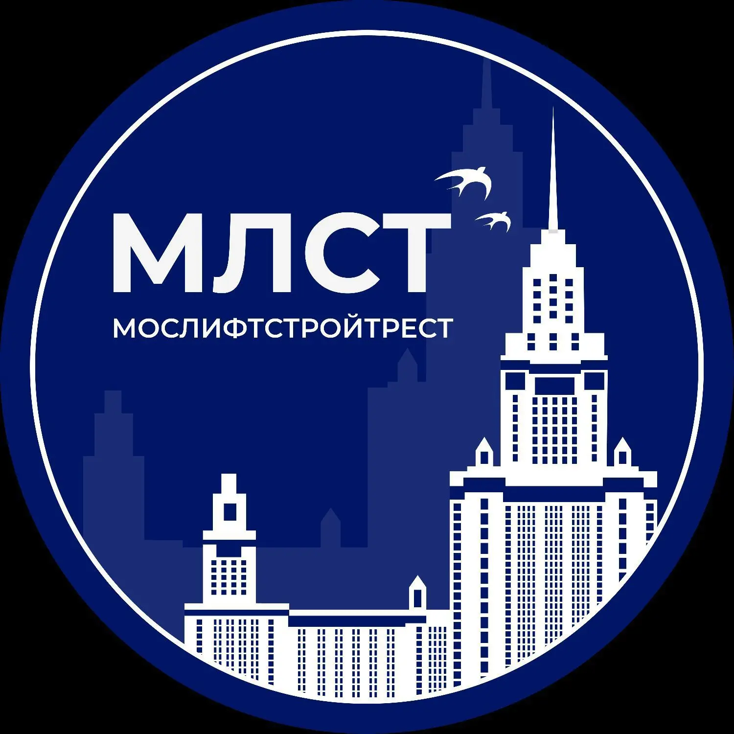 АНО "МЛСТ" — канал в мессенджере MAX