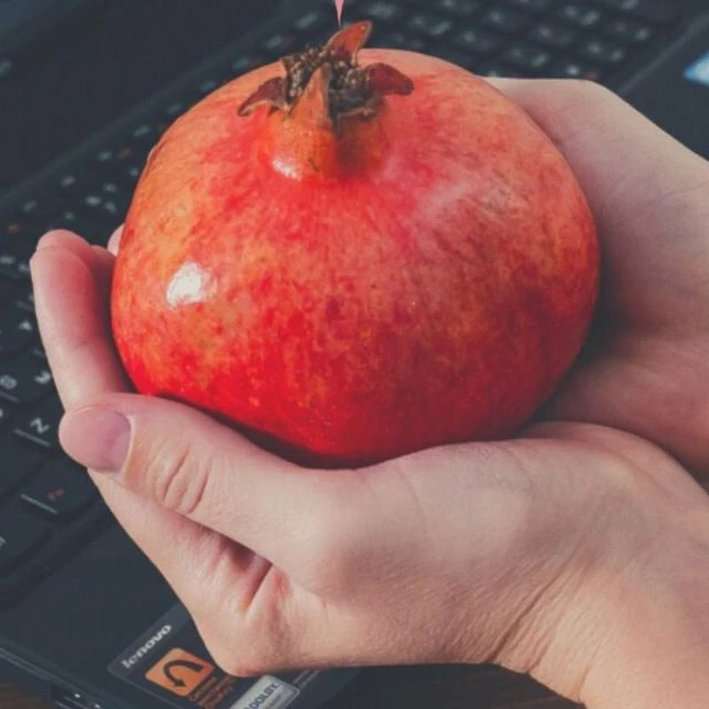 Логотип канала