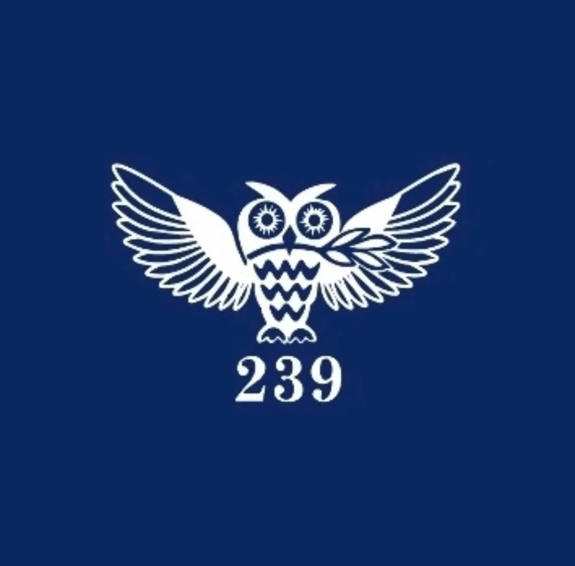 Президентский ФМЛ №239 — канал в мессенджере MAX