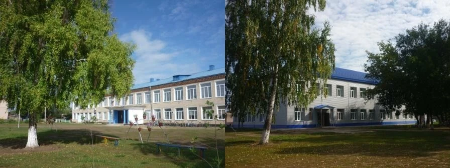 МБОУ Кардаиловская СОШ Илекского района