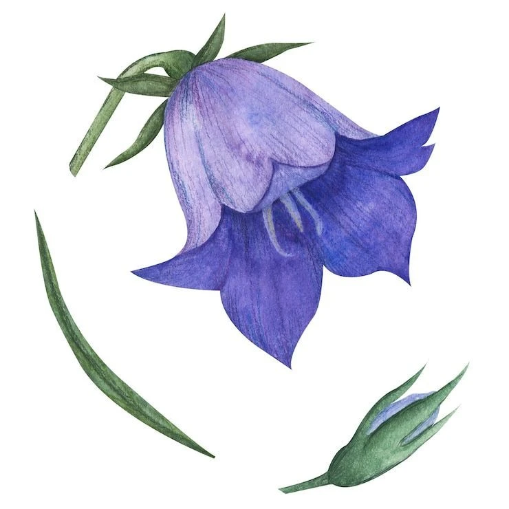 МБДОУ "Детский сад общеразвивающего вида №26 "Колокольчик"