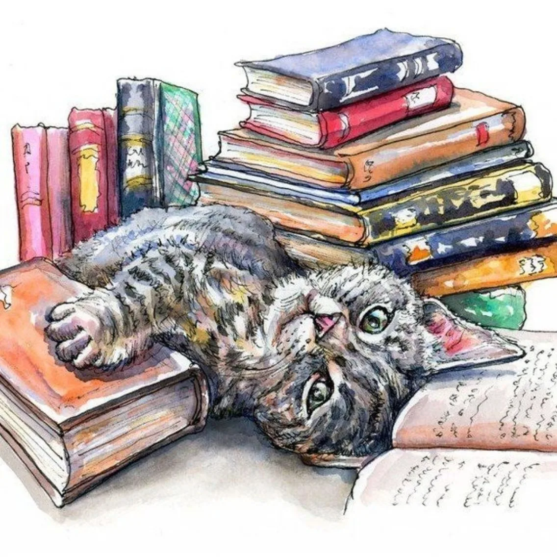Русский по полочкам 📚 — канал в мессенджере MAX