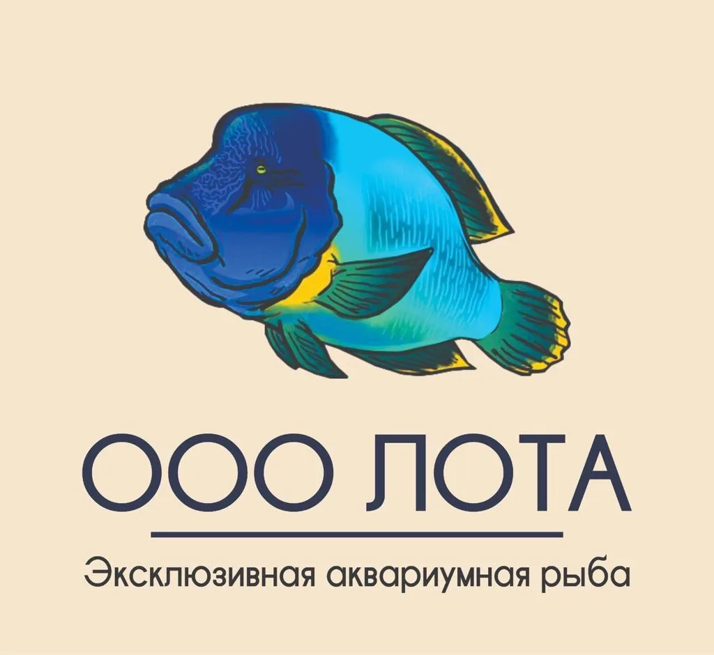 ЛОТА морские рыбки 🐠