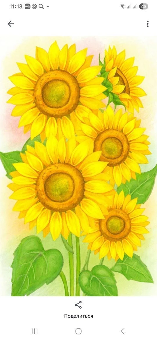 МБДОУ Детский сад комбинированного вида 127