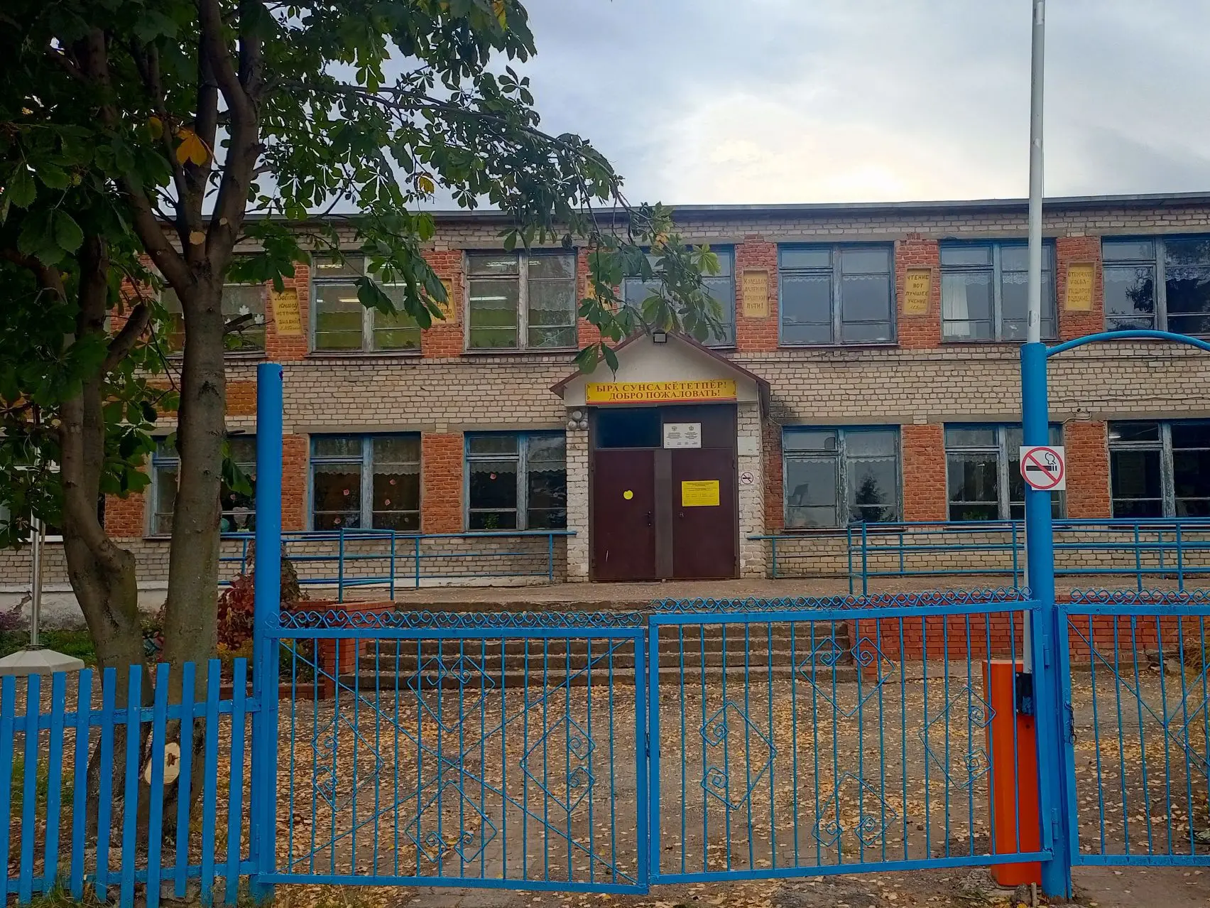 МБОУ "Андреево-Базарская СОШ"