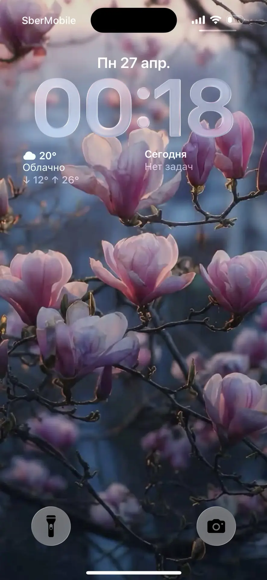 Заметки по маслам