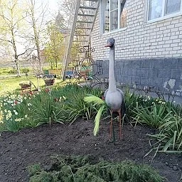 Публичный канал МБДОУ "Детский сад 9 "Журавлик"ст.Марьинской