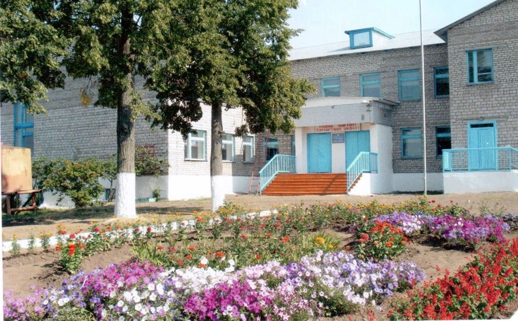 Канал МБОУ СОШ д.Бадряшево