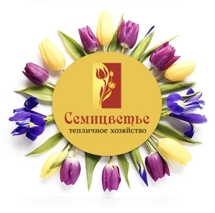 СЕМИЦВЕТЬЕ питомник растений