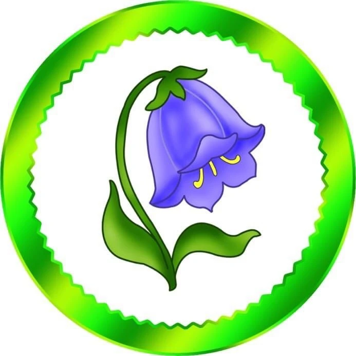 МКДОУ "Детский сад  N2 "Колокольчик "