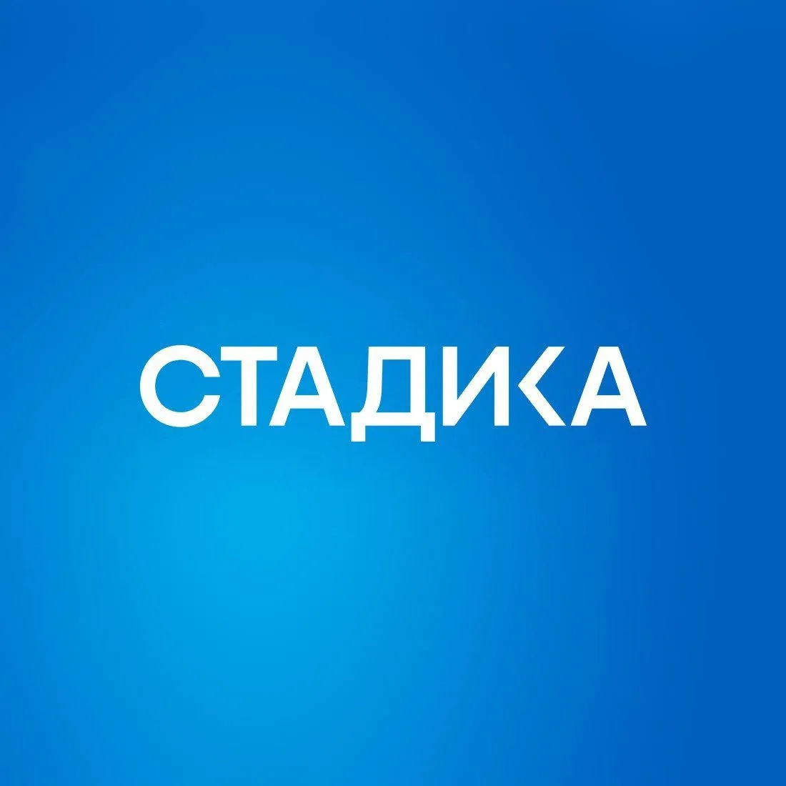 Стадика: возможности — канал в мессенджере MAX