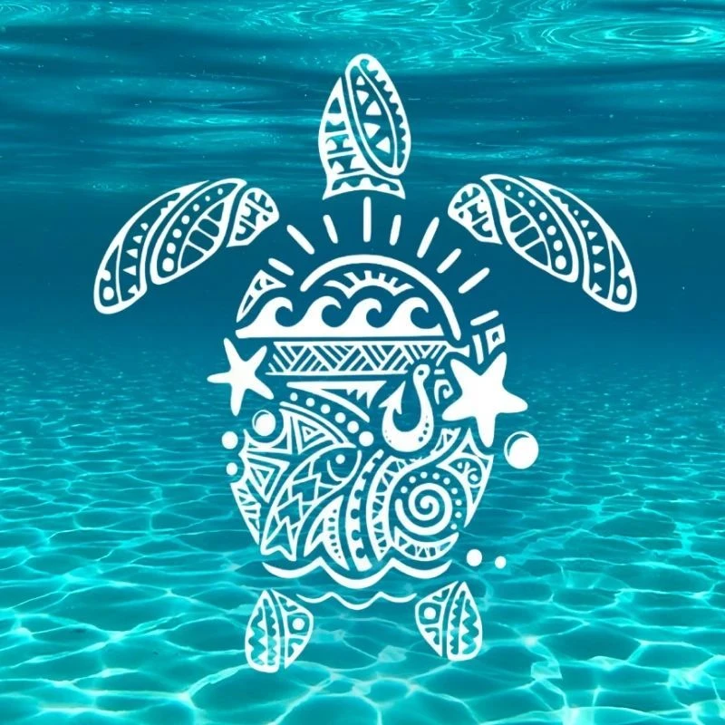 Автобусные туры , путешествия/Экспедиция +