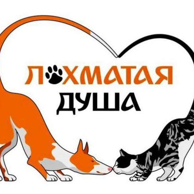 БФ «ЛОХМАТАЯ ДУША» — канал в мессенджере MAX