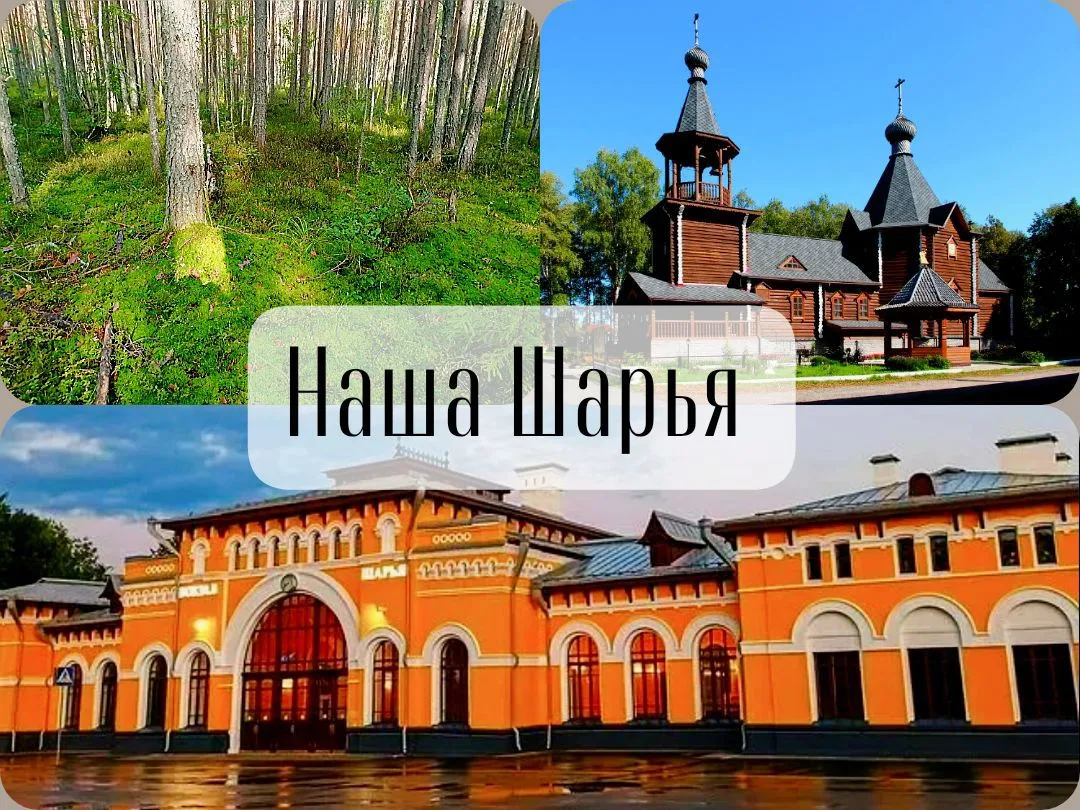Наша Шарья — канал в мессенджере MAX