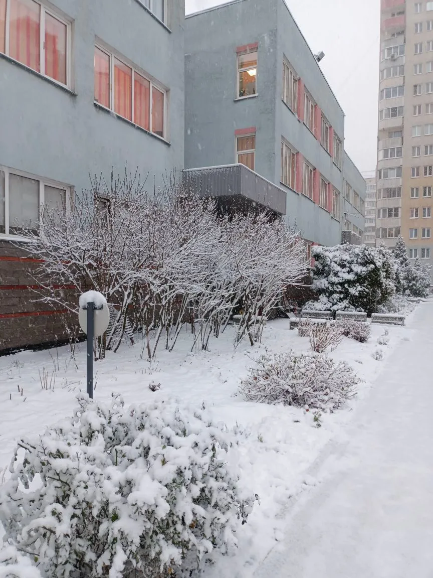 ГБДОУ детский сад № 97 Красногвардейского района