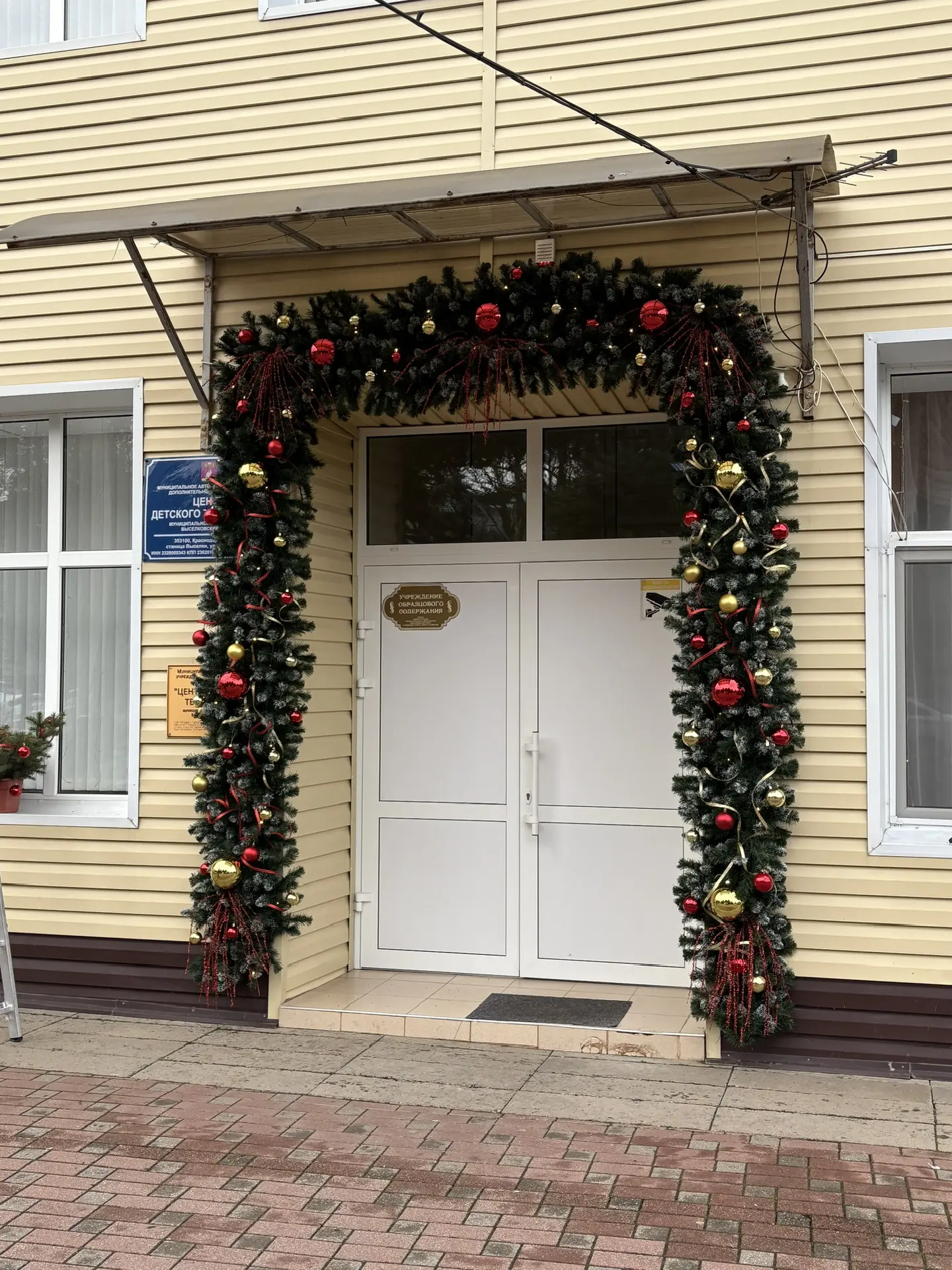 МАУДО ЦДТ МО Выселковский район