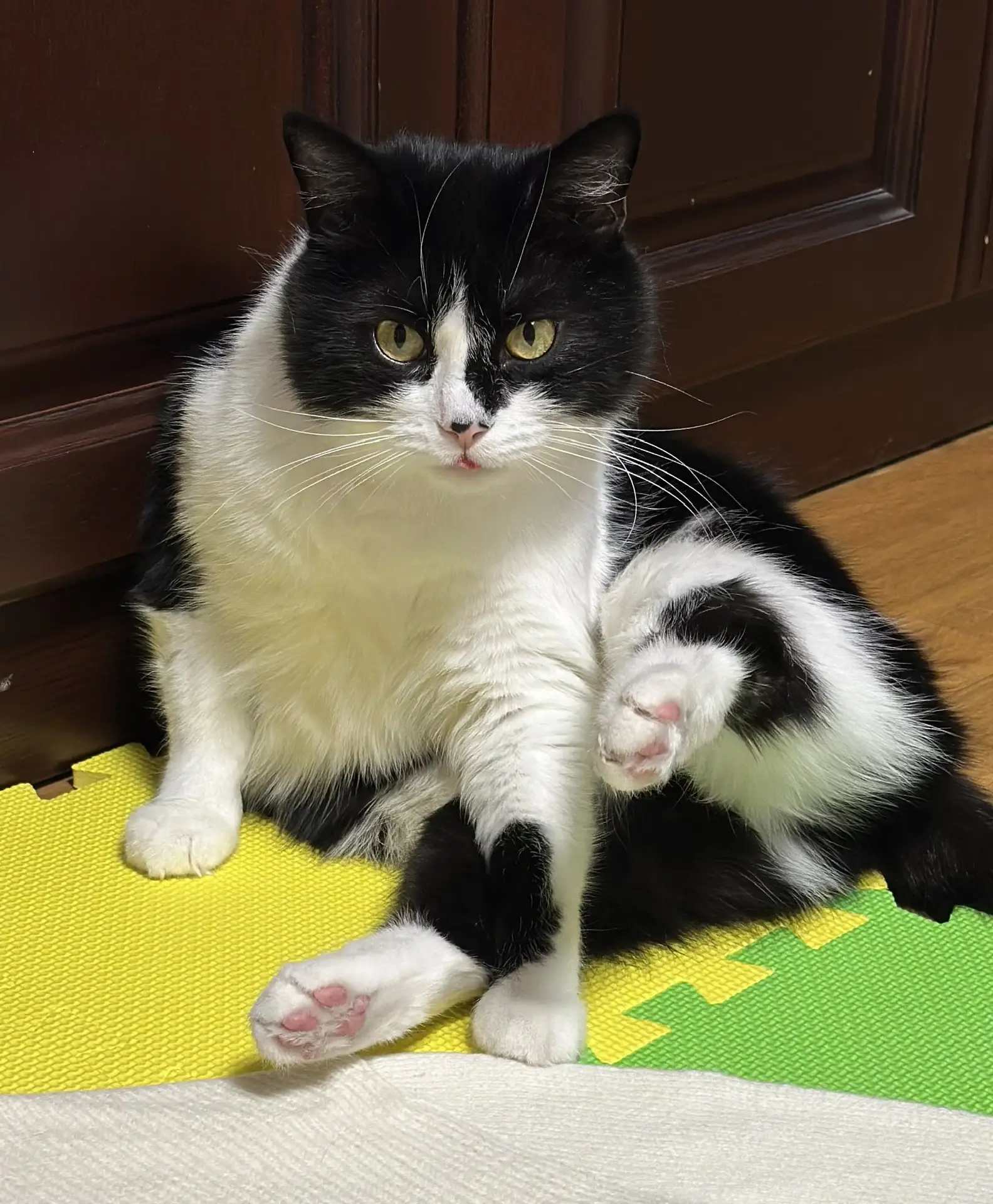 Солнце в рукаве