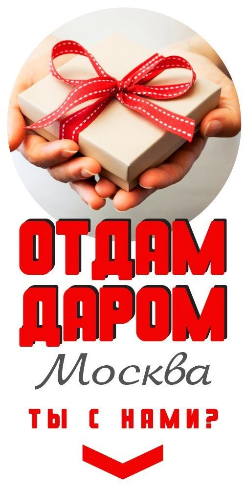 Отдам даром Москва — канал в мессенджере MAX