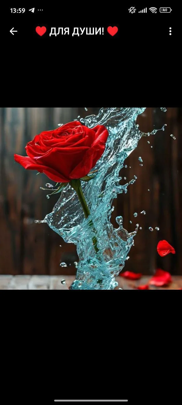 ❤️ДЛЯ ДУШИ!❤️