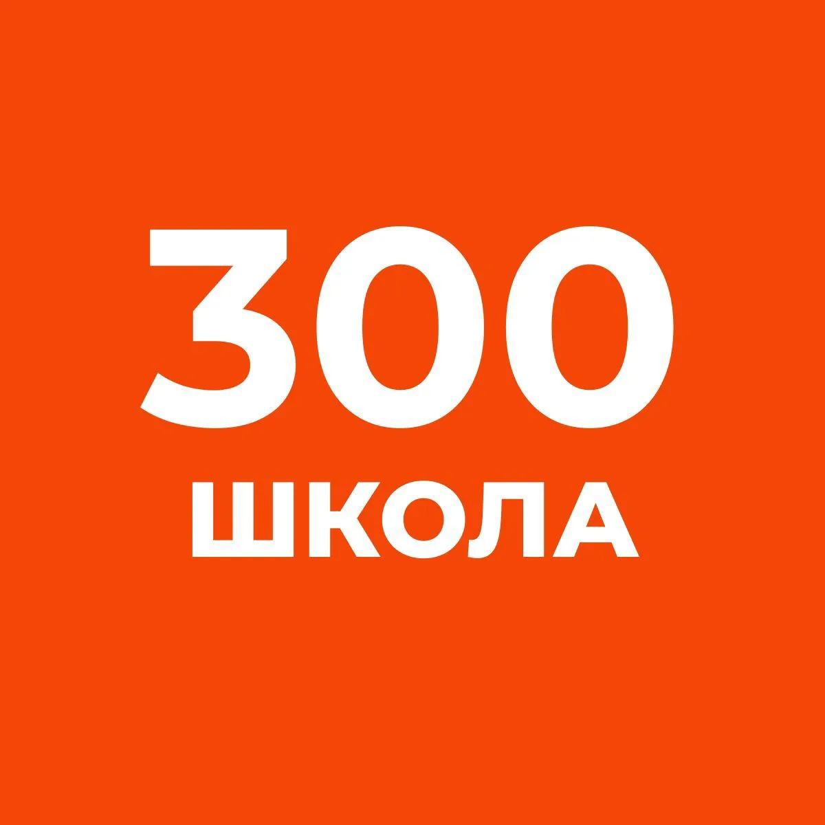 ГБОУ школа N 300 Центрального района Санкт-Петербурга