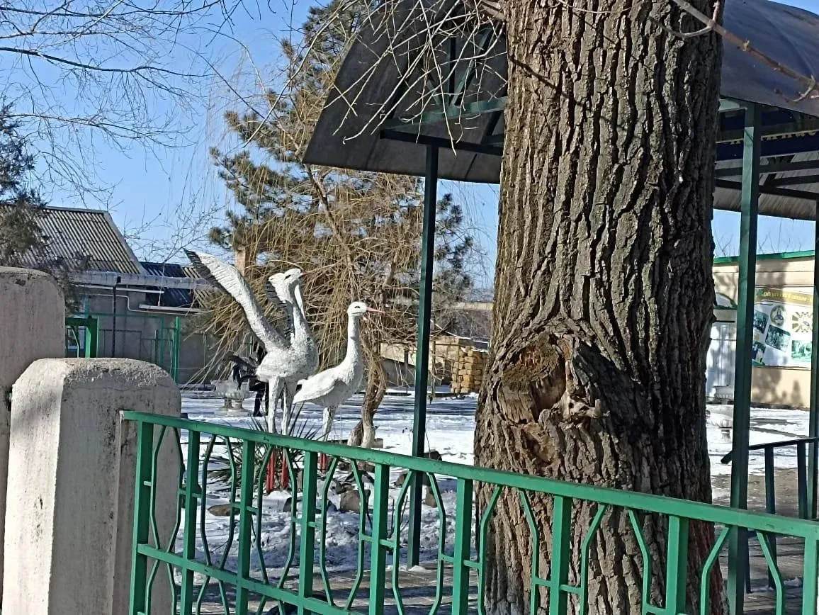 МБОУСОШ № 4 им. Нисанова Х.Д. г.Пролетарска