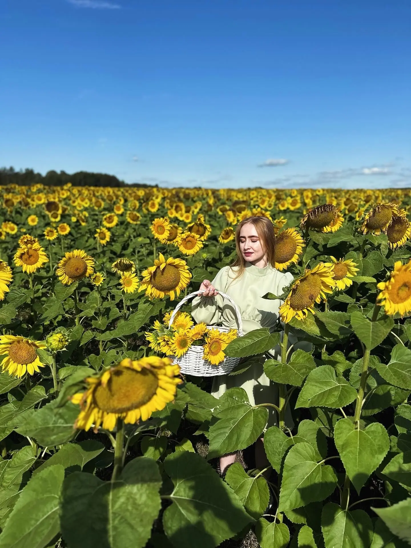 Жизнь по-Лизовски