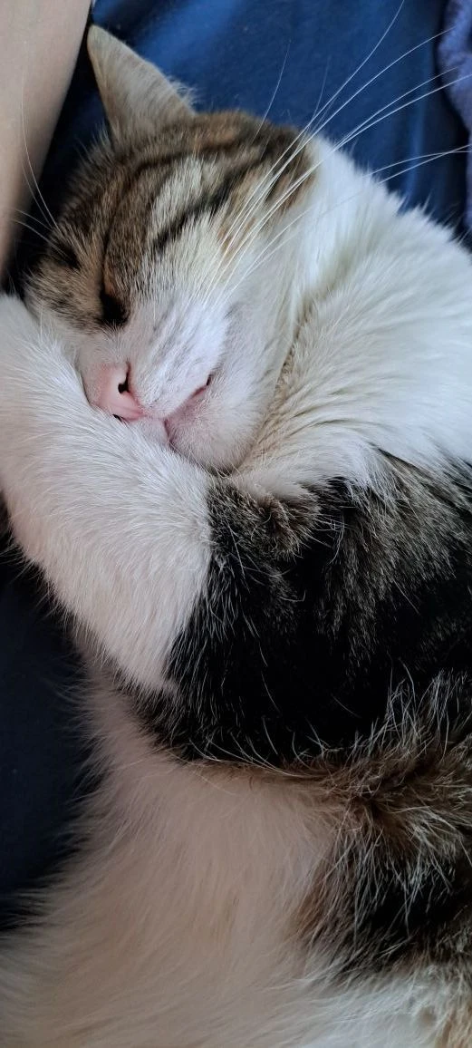 Веста и Компания😊