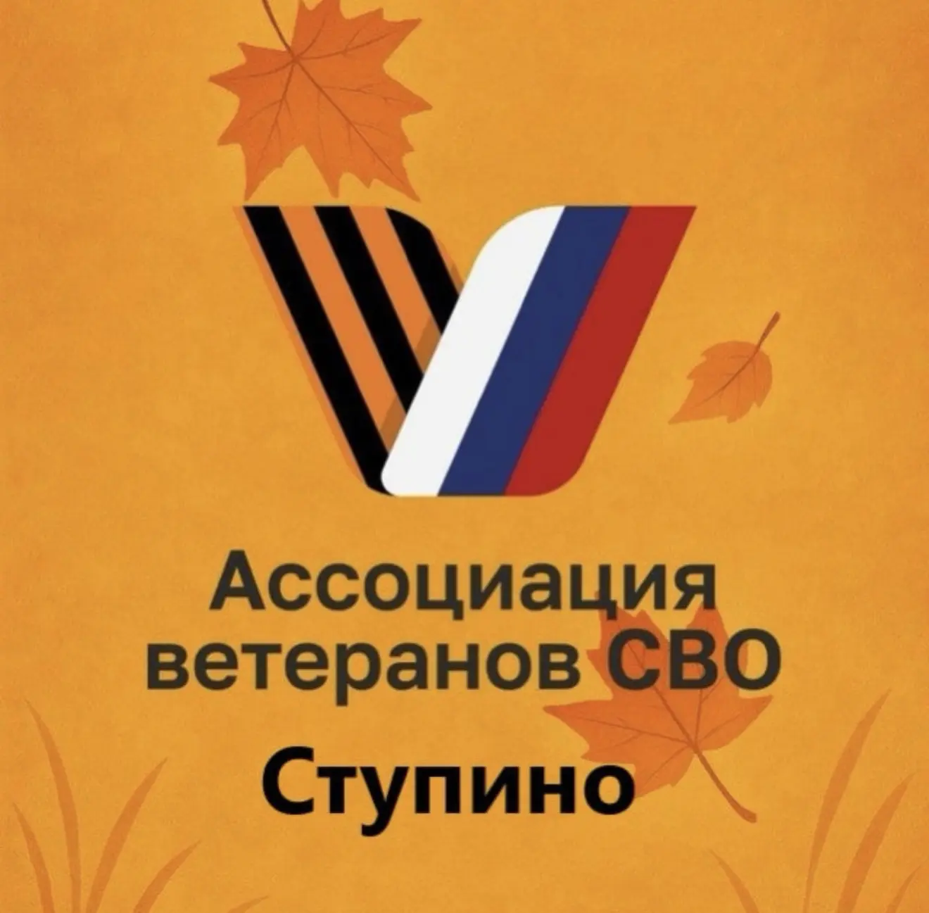Ассоциация ветеранов СВО г.о.Ступино — канал в мессенджере MAX
