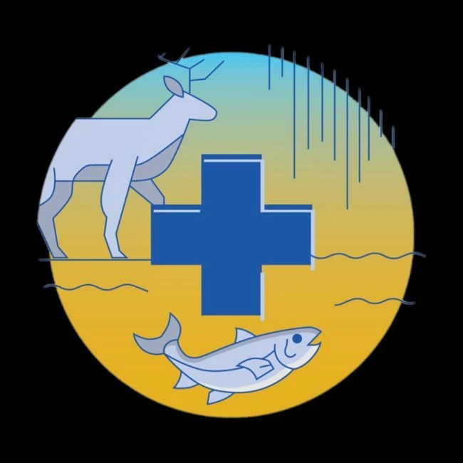 Логотип канала