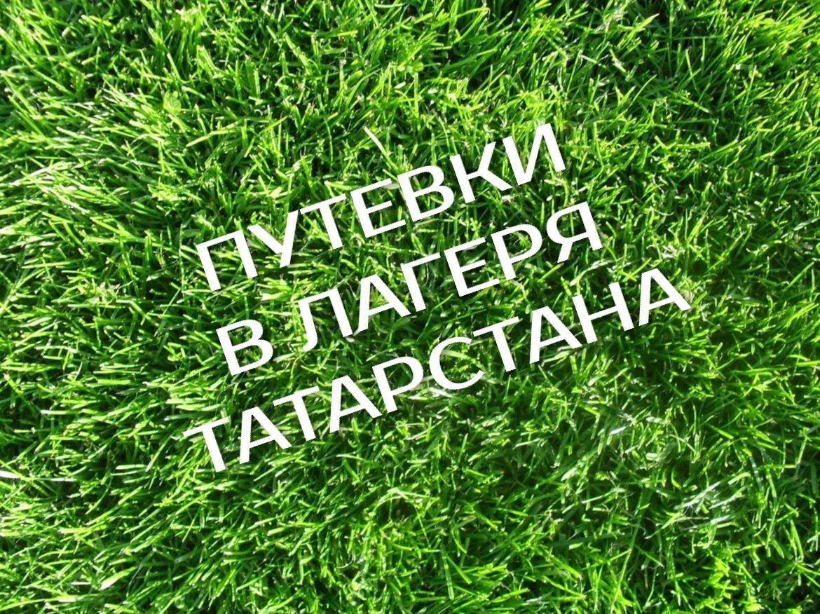 Путевки в лагеря РТ | Городские проекты — канал в мессенджере MAX