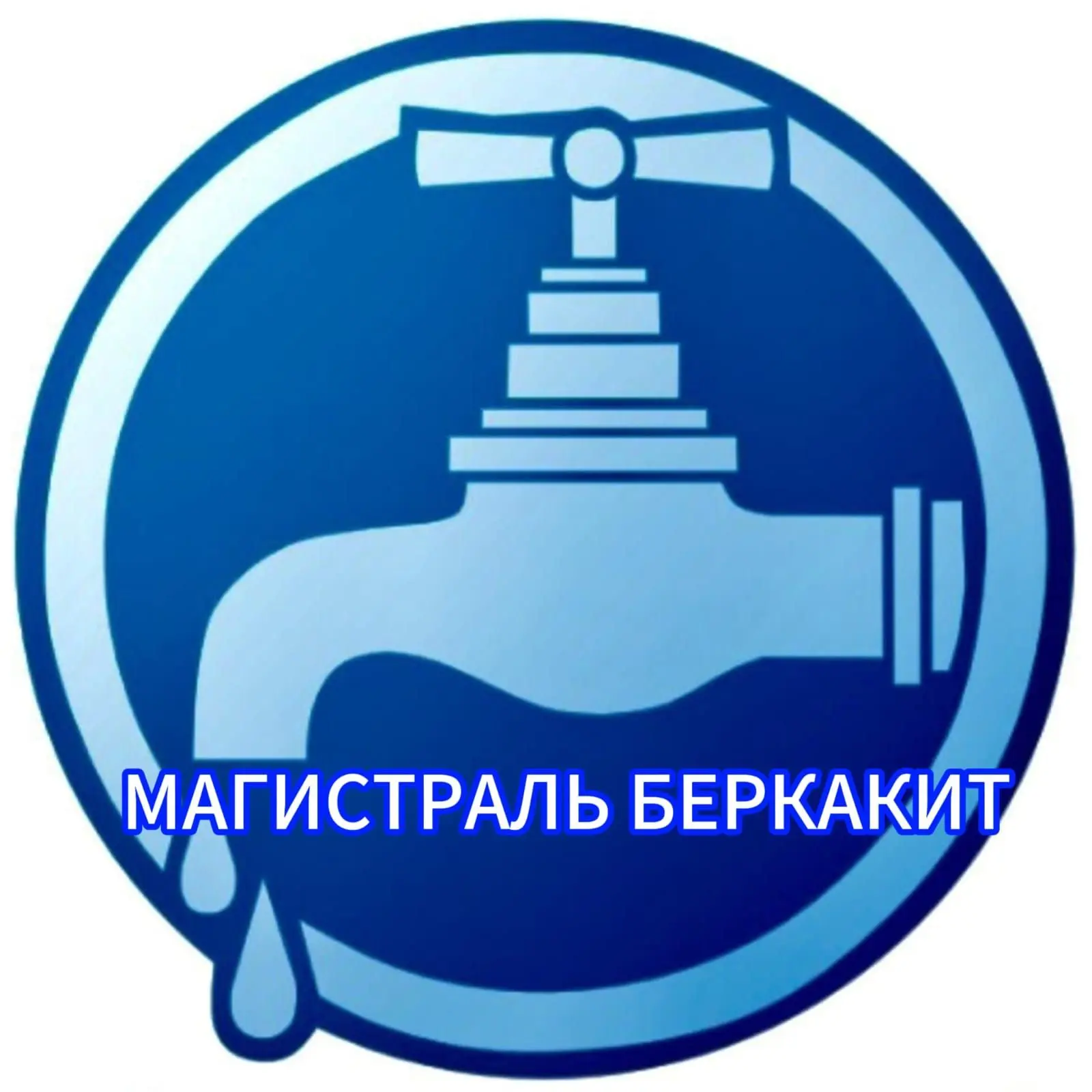 ООО МАГИСТРАЛЬ БЕРКАКИТ — канал в мессенджере MAX