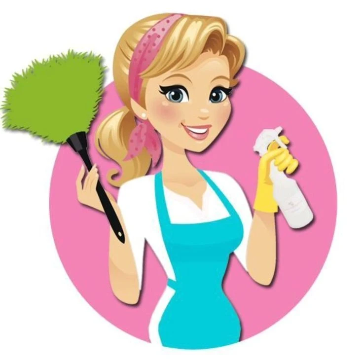 Чистый дом. Хозяюшка