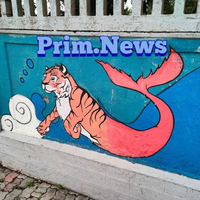 Prim.News: новости Владивостока и Приморского края — канал в мессенджере MAX