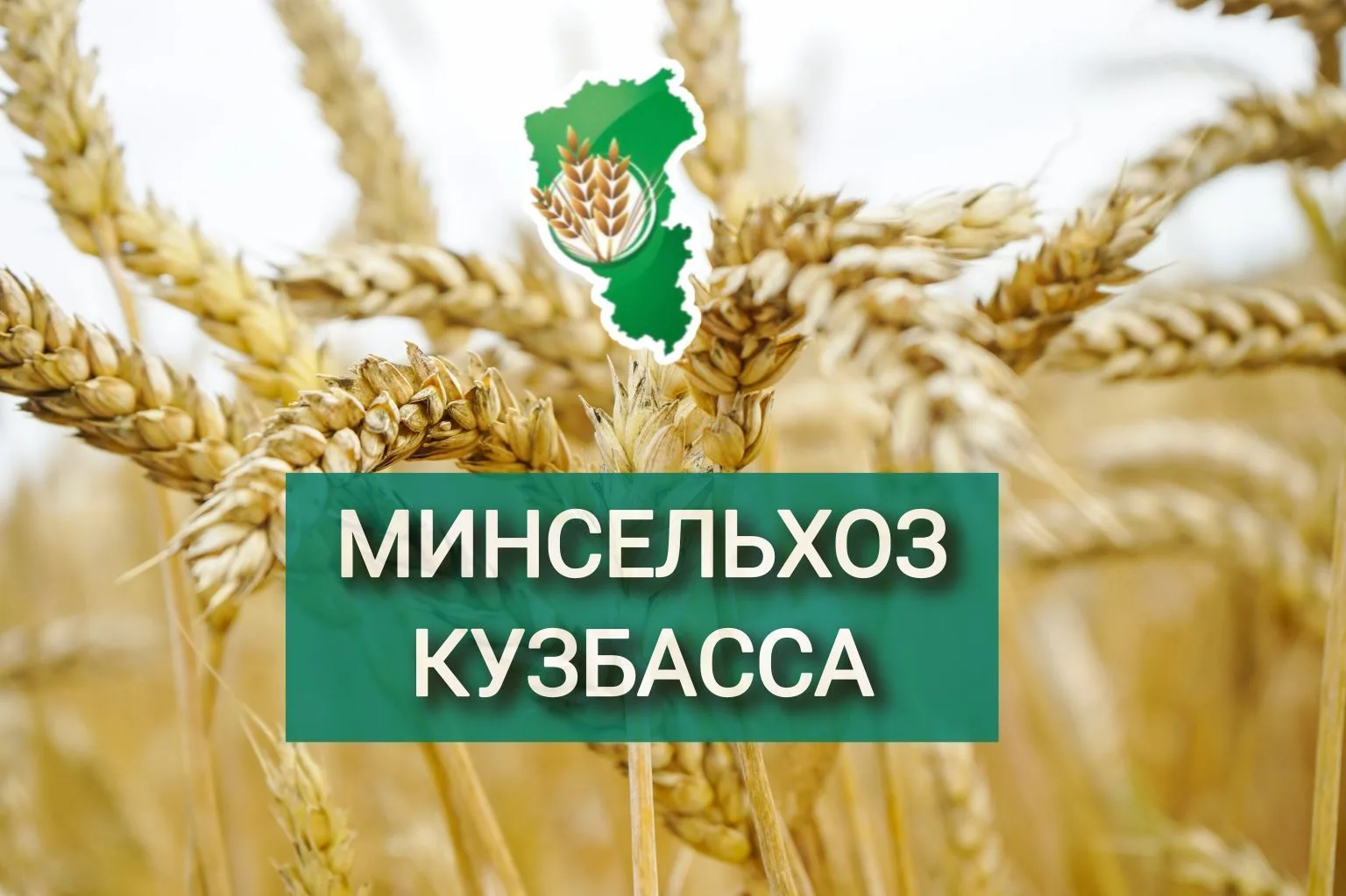 Минсельхоз Кузбасса — канал в мессенджере MAX