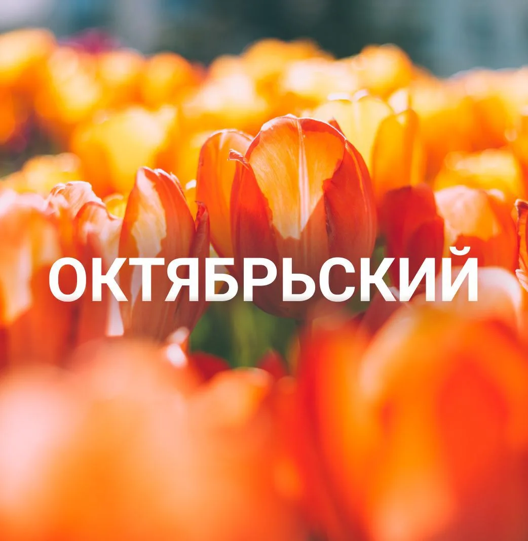 Октябрьский район | Красноярск — канал в мессенджере MAX