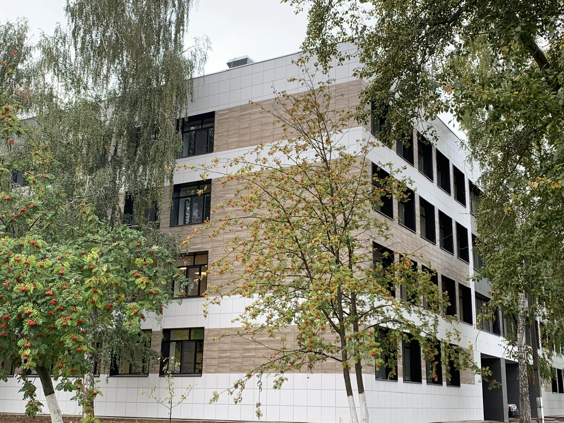 МБОУ "Лицей № 2 им. Н.Соболева пгт. Васильево ЗМР РТ"