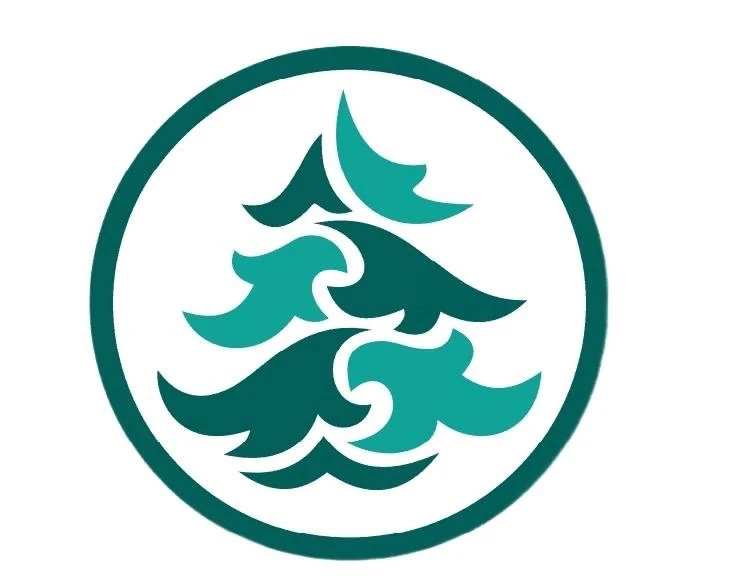 Социально-реабилитационный центр "Серебряный бор"