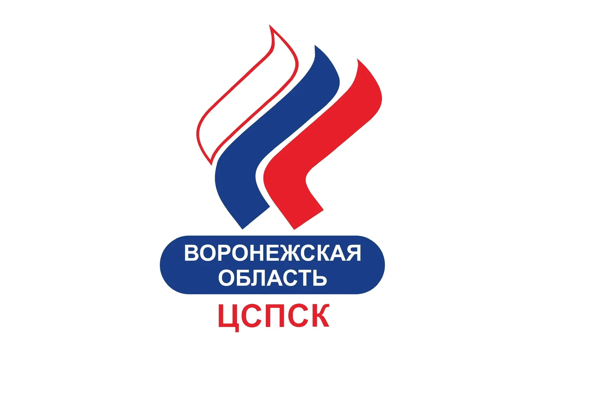 СПОРТ в Воронеже: команды, результаты