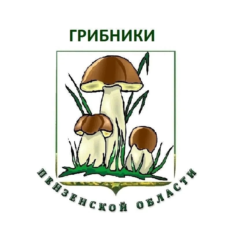 ГРИБНИКИ ПЕНЗЕНСКОЙ ОБЛАСТИ — канал в мессенджере MAX