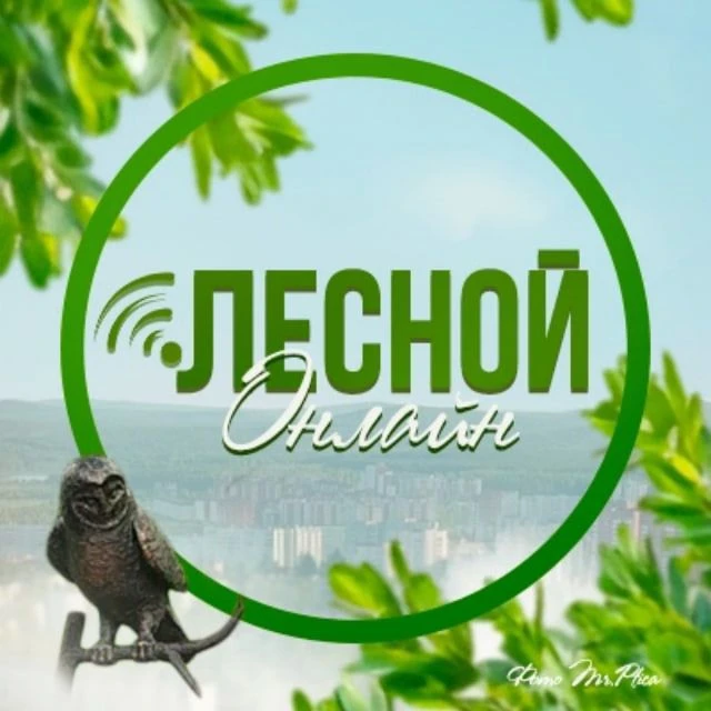 Лесной ONLINE — канал в мессенджере MAX