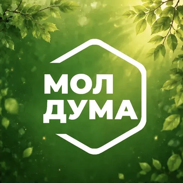Молодёжная Дума | Ульяновск — канал в мессенджере MAX