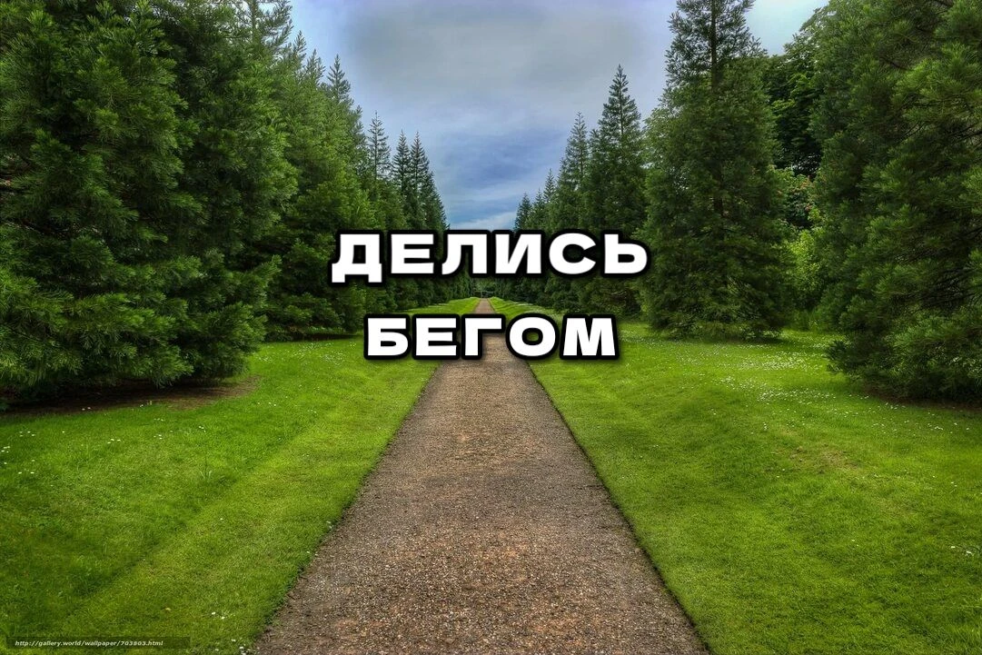 ДЕЛИСЬ БЕГОМ