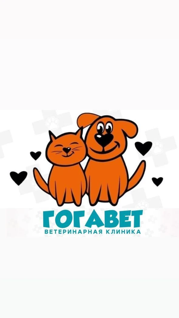 Ветеринарная клиника "ГогаВет"