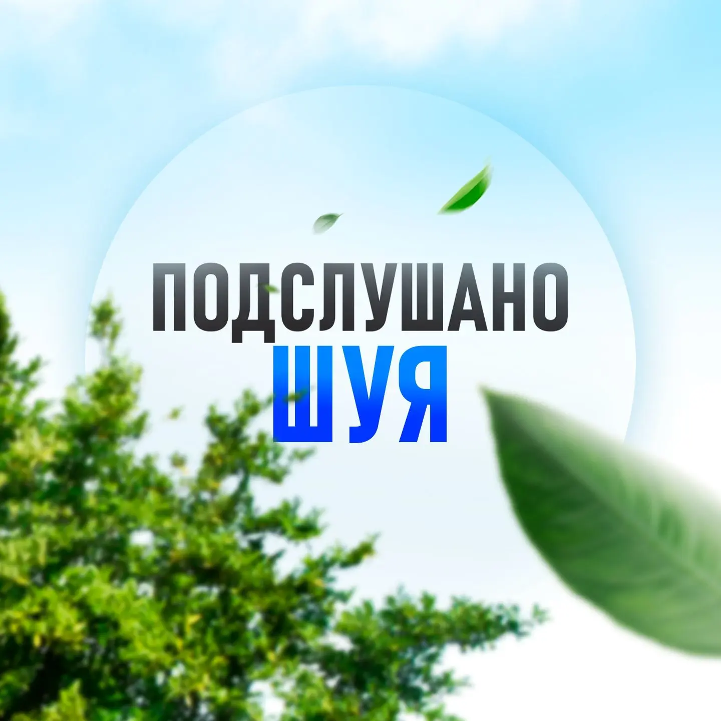 Подслушано Шуя