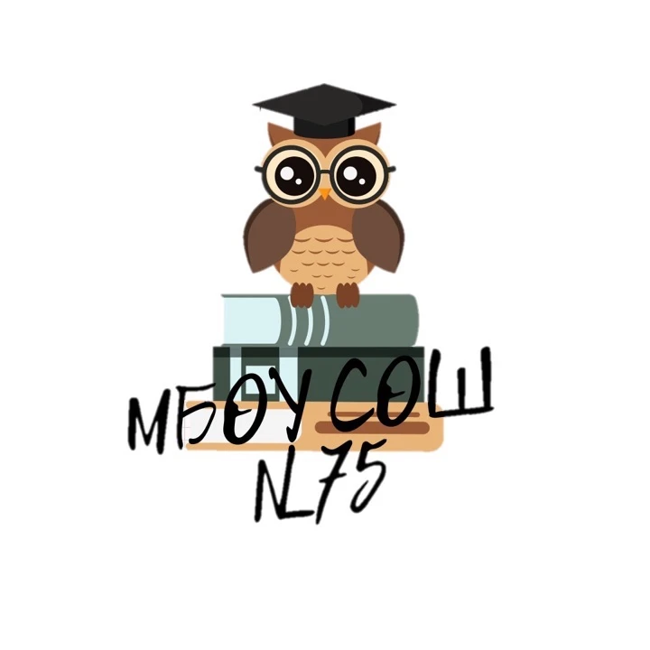 МБОУ СОШ №75