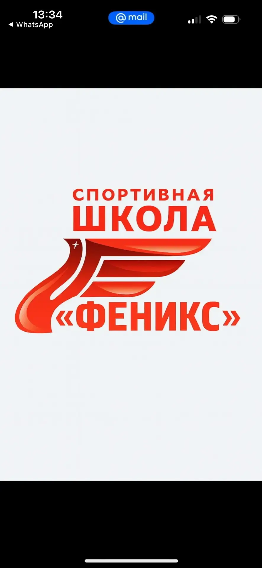 Спортивная школа "Феникс" — канал в мессенджере MAX