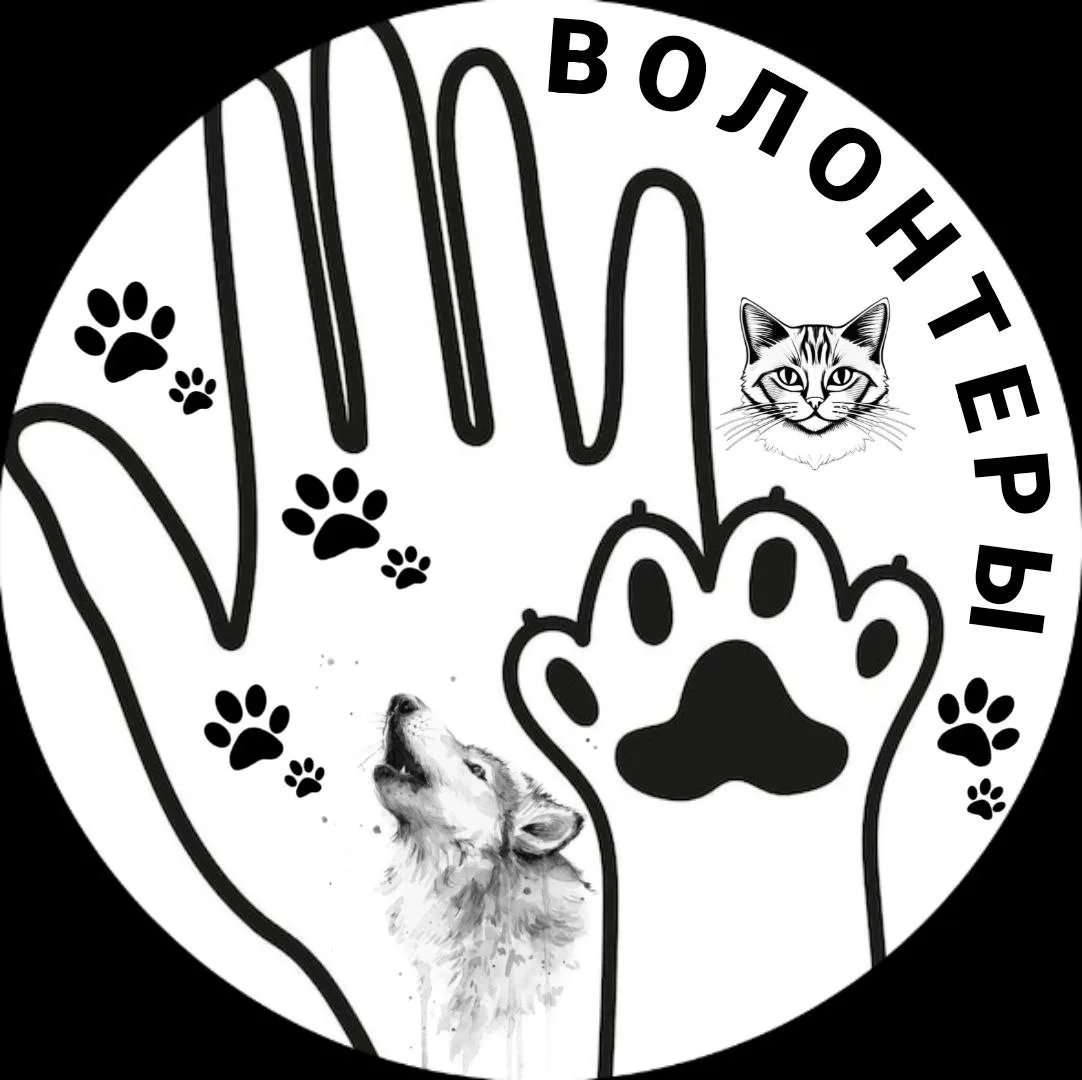 ЗООПАТРУЛЬ (группа помощи бездомным животным)