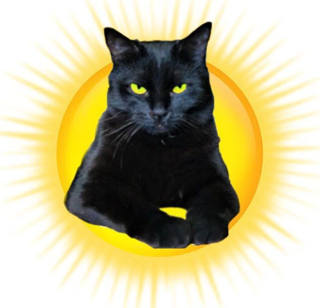 База Черных Котов