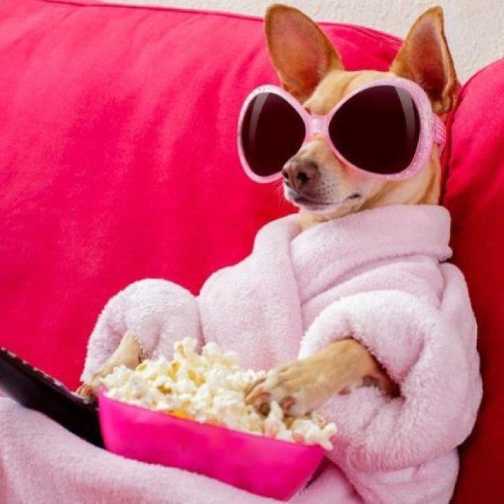 Вокруг банок